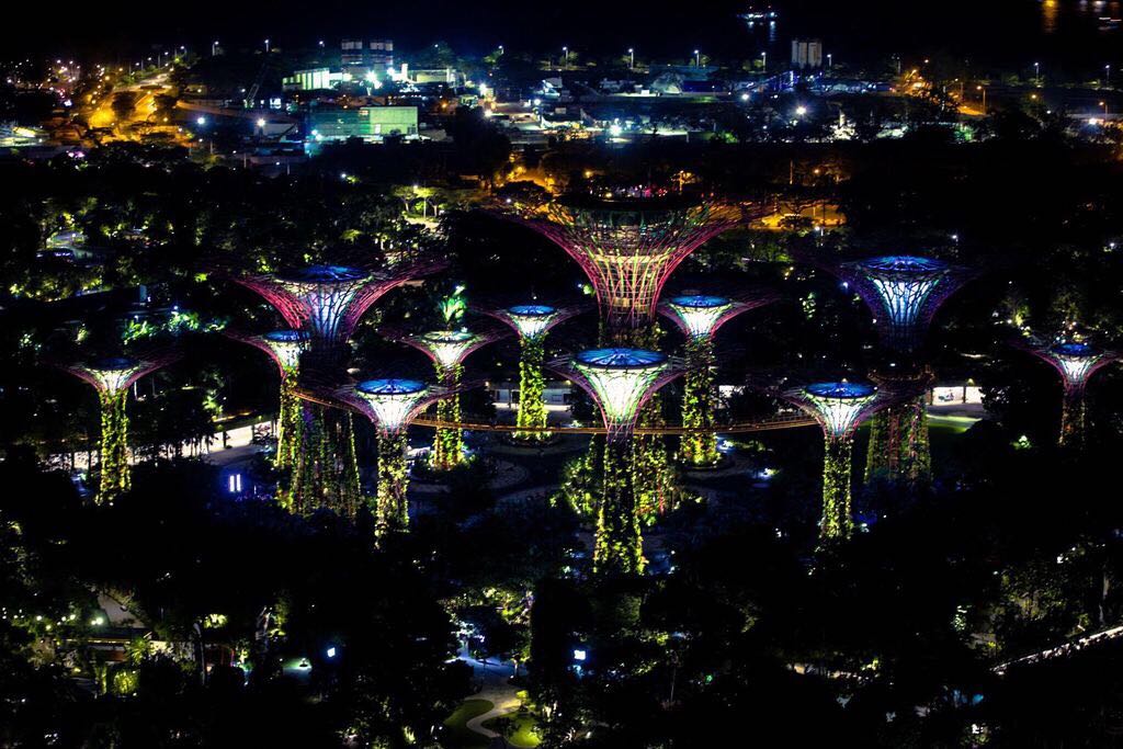 TIBCO NOW Gardens at Marina Bay Sands