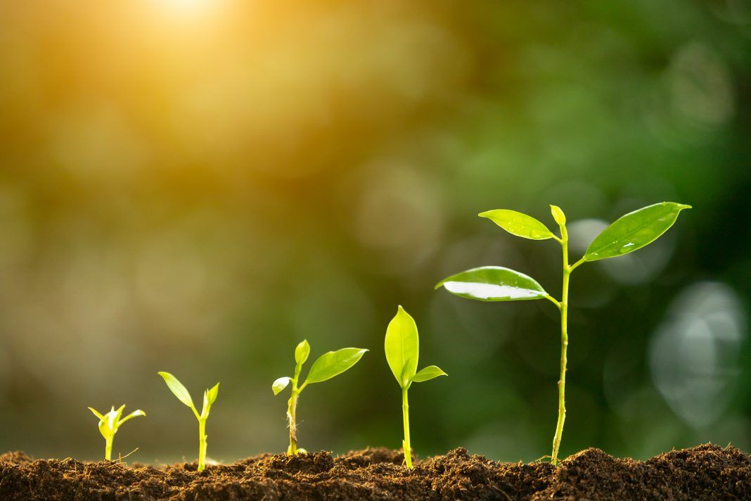 TIBCO Simplifies Integration Lifecycle Management TIBCO Simplifies Integration Lifecycle Management