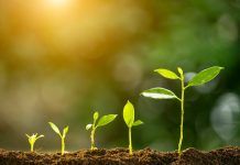 TIBCO Simplifies Integration Lifecycle Management