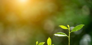 TIBCO Simplifies Integration Lifecycle Management