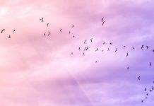 TIBCO Migrate to the Cloud
