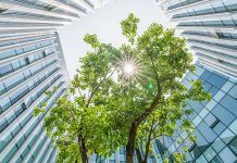 TIBCO_Sustainable_DataVirtualization