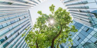 TIBCO_Sustainable_DataVirtualization