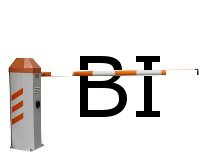 BI project barriers