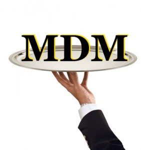 Basics of Master Data Management