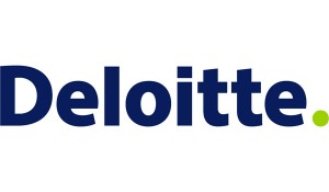 Data Visualization and Deloitte