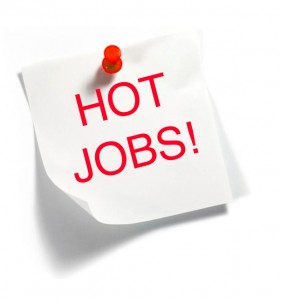 Data Geek Jobs Hotter than Hot