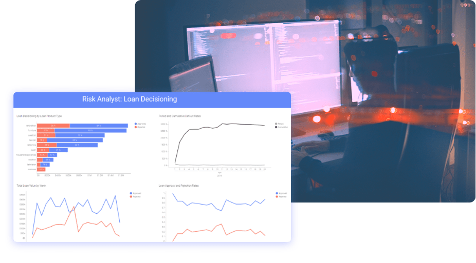 Risk analyst demo screenshot