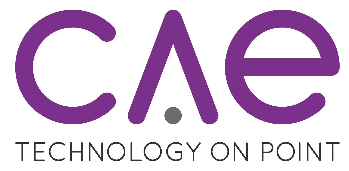 CAE Technology Services Limited logo