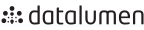 DATALUMEN NV logo