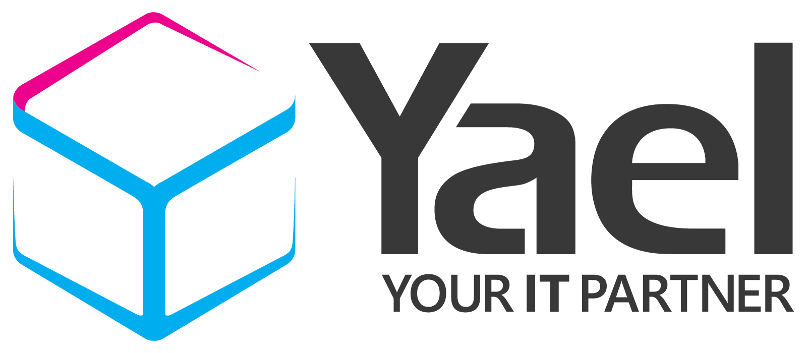 Yael Software logo