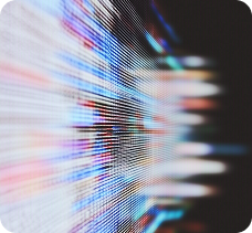 Digital Illustration